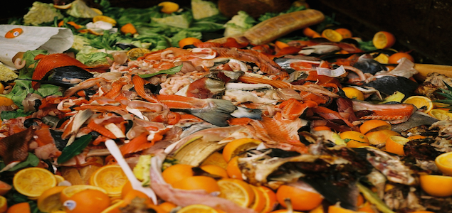 G20: Food Waste An 'Enormous' Global Concern