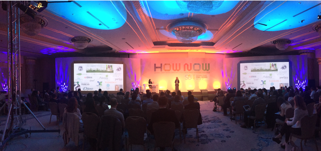 SB'15 Istanbul Kicks Off Sustainable Brands' 'How Now' Theme