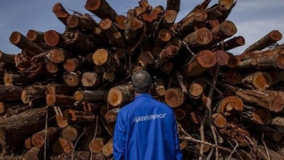 Indonesian Pulp and Paper Giant APRIL Pledges Zero Deforestation, Greenpeace Applauds