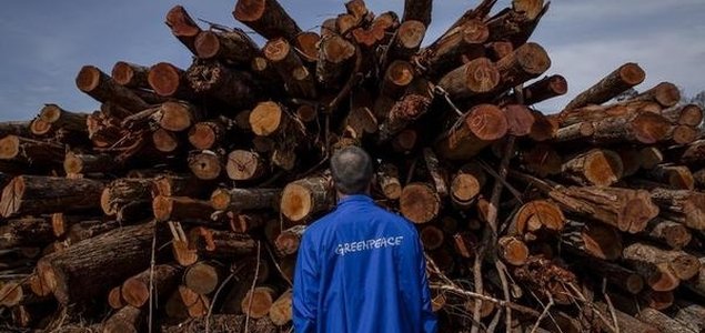 Indonesian Pulp and Paper Giant APRIL Pledges Zero Deforestation, Greenpeace Applauds