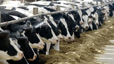 Field to Market, Innovation Center for U.S. Dairy Harmonizing Metrics for Dairy Feed Sustainability