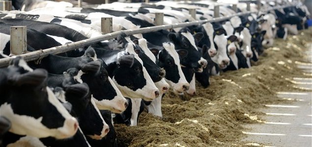 Field to Market, Innovation Center for U.S. Dairy Harmonizing Metrics for Dairy Feed Sustainability