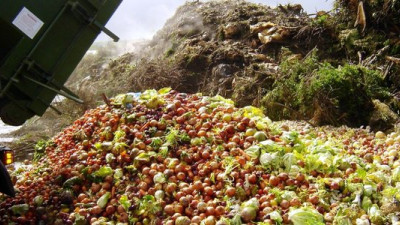 Consumer Goods Industry Commits to Halving Its Food Waste Globally by 2025