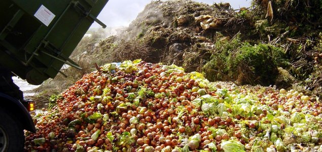 Consumer Goods Industry Commits to Halving Its Food Waste Globally by 2025