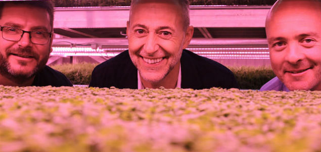 London’s First Subterranean Farm Bringing Its Sustainable Produce to Market