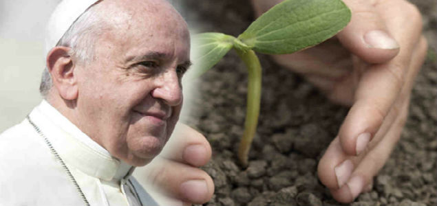 The Best Quotes (and Key Themes) from the Pope's Environmental Manifesto: Part II