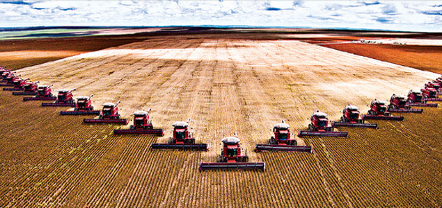 Dow Implementing Sustainable Ag in Brazil as Part of Carbon-Mitigation Program for Rio 2016 Olympics