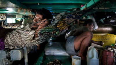 NGOs React to Reports Revealing Modern-Day Slavery in Palm Oil, Seafood Industries