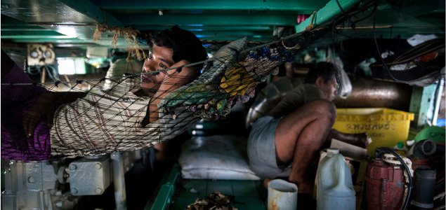 NGOs React to Reports Revealing Modern-Day Slavery in Palm Oil, Seafood Industries