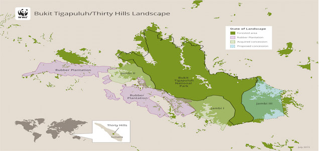 WWF Combines Finance With Conservation to Protect Sumatran Rainforest