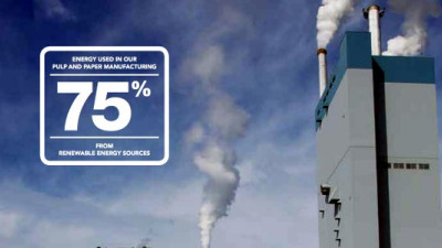Domtar Leads Pulp and Paper Industry in Self-Generated Energy