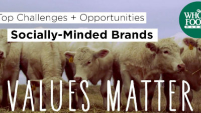 Top Challenges, Opportunities and Trends for Socially Minded Brands