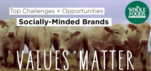 Top Challenges, Opportunities and Trends for Socially Minded Brands