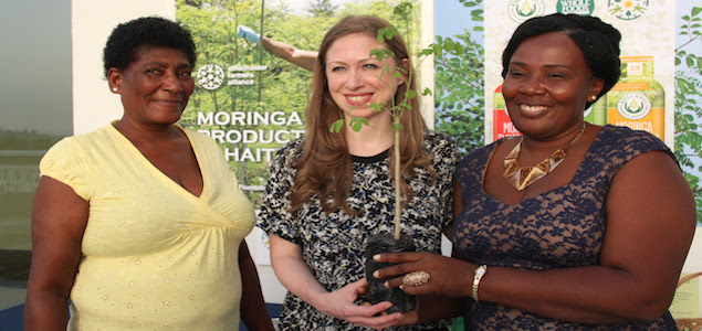 Clinton Foundation, Kuli Kuli Looking to Moringa to Tackle Poverty in Haiti