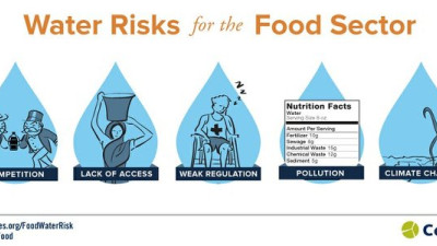Global Investors Urging Food, Beverage Companies to Better Manage Water Risks