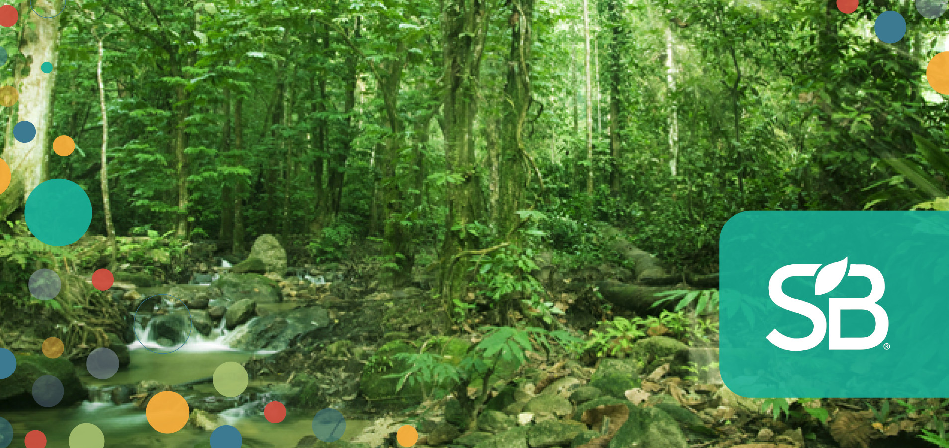 One Year After New York Declaration on Forests, Report Identifies