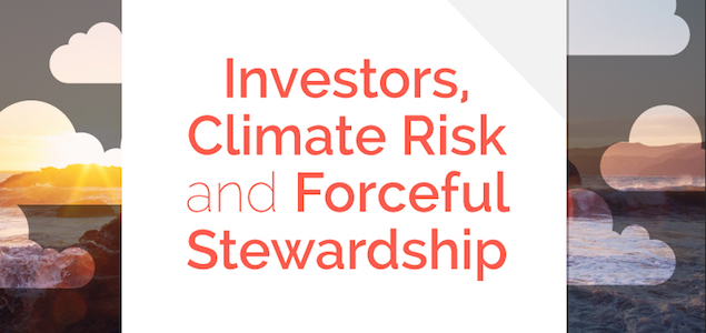 Report: Investors Should Manage Climate Risks As ‘Forceful Stewards’