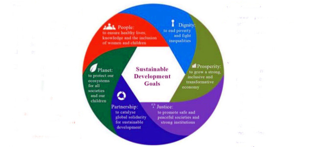 Redefining the Role of Business to Achieve the UN Sustainable Development Goals