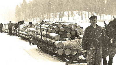 7 Things You Probably Didn’t Know About Sweden’s Forest Economy