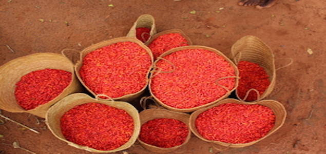 Climate-Smart Tech Improving Livelihoods of Kenyan Women Farmers