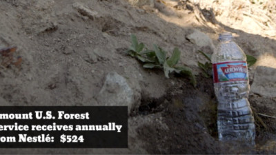 Courage Campaign Suing US Forest Service for Allowing Nestlé to Bottle Water in California