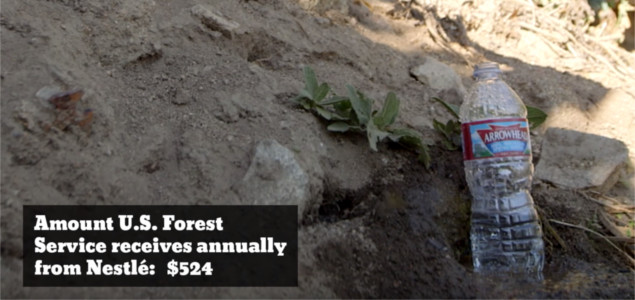 Courage Campaign Suing US Forest Service for Allowing Nestlé to Bottle Water in California