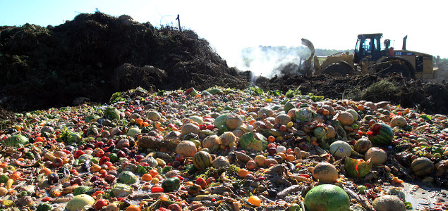 PepsiCo, Unilever, WWF Leading Coalition Pushing for Value Chain Collaboration in Fighting Food Waste