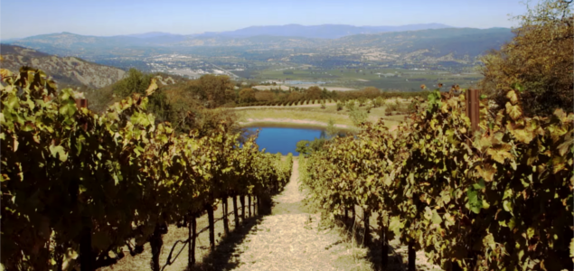 Trending: Fetzer Vineyards, U.S. Department of Labor Celebrate B Corp Certification