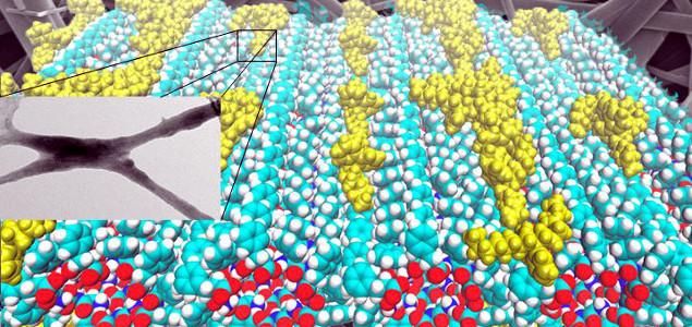 University of Missouri Researchers Developing Biodegradable Displays for Electronics