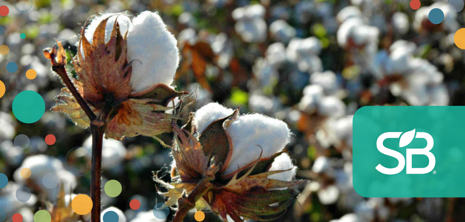 IKEA Says 100% of Its Cotton Now Comes from More Sustainable