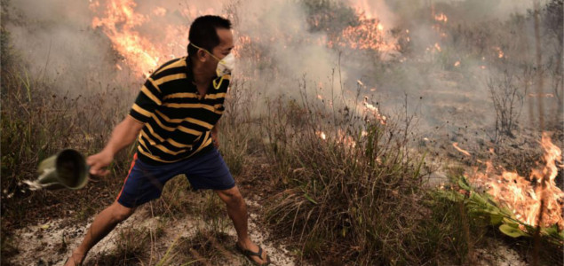 Indonesia in Crisis: Fires Releasing More Emissions Than the Entire U.S. Economy