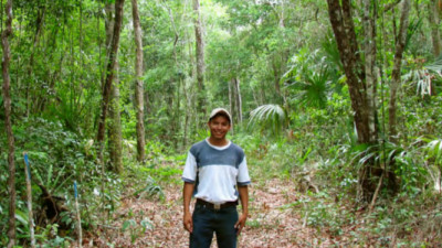 Indigenous Communities May Offer the Most Affordable, Effective Forest Protection