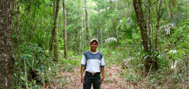 Indigenous Communities May Offer the Most Affordable, Effective Forest Protection