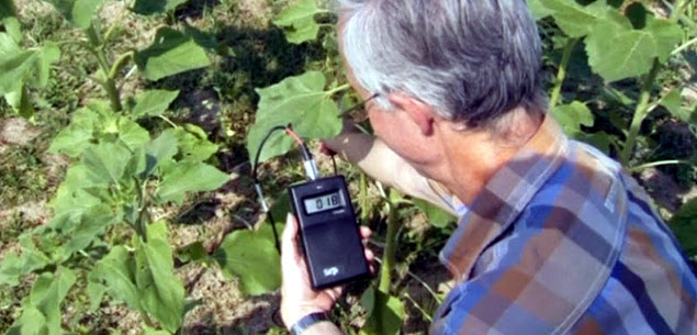 Trending: Researchers Finding Food Waste, Phytomining Could Yield Plant-Based Electronic Components