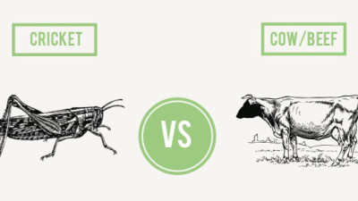 How Do Crickets and Algae Stack Up Against Beef?