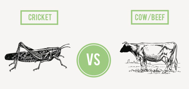 How Do Crickets and Algae Stack Up Against Beef?