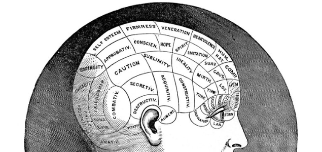 Our Brain on Purpose