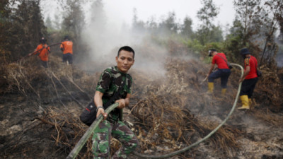 Palm Oil Giant Commits to Help Indonesia Through Peatland Rehabilitation, Traceability