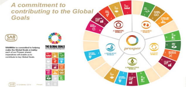 How Brands Can Leverage the Sustainable Development Goals