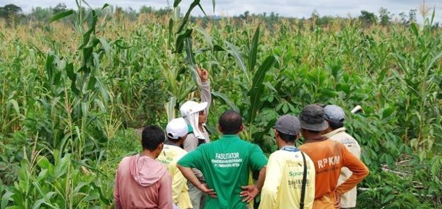 World Leaders at COP21 Must Act Now to Save Our Forests