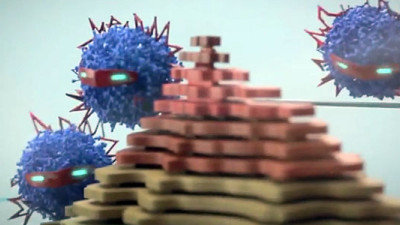 IBM's Plastic 'Ninja Polymers' Could Be MRSA Bacteria's First Worthy Opponents
