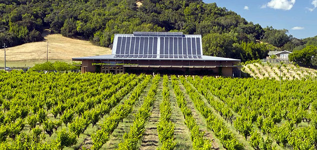 Sonoma County Commits to 100% Sustainable Wine by 2019