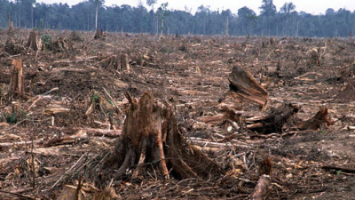 WBCSD Threatens to Expel APRIL Unless It Proves It Has Ended Deforestation Practices