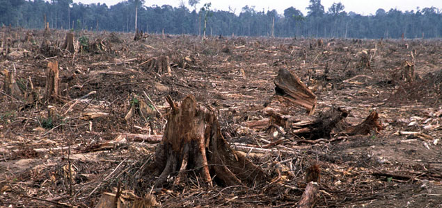 WBCSD Threatens to Expel APRIL Unless It Proves It Has Ended Deforestation Practices