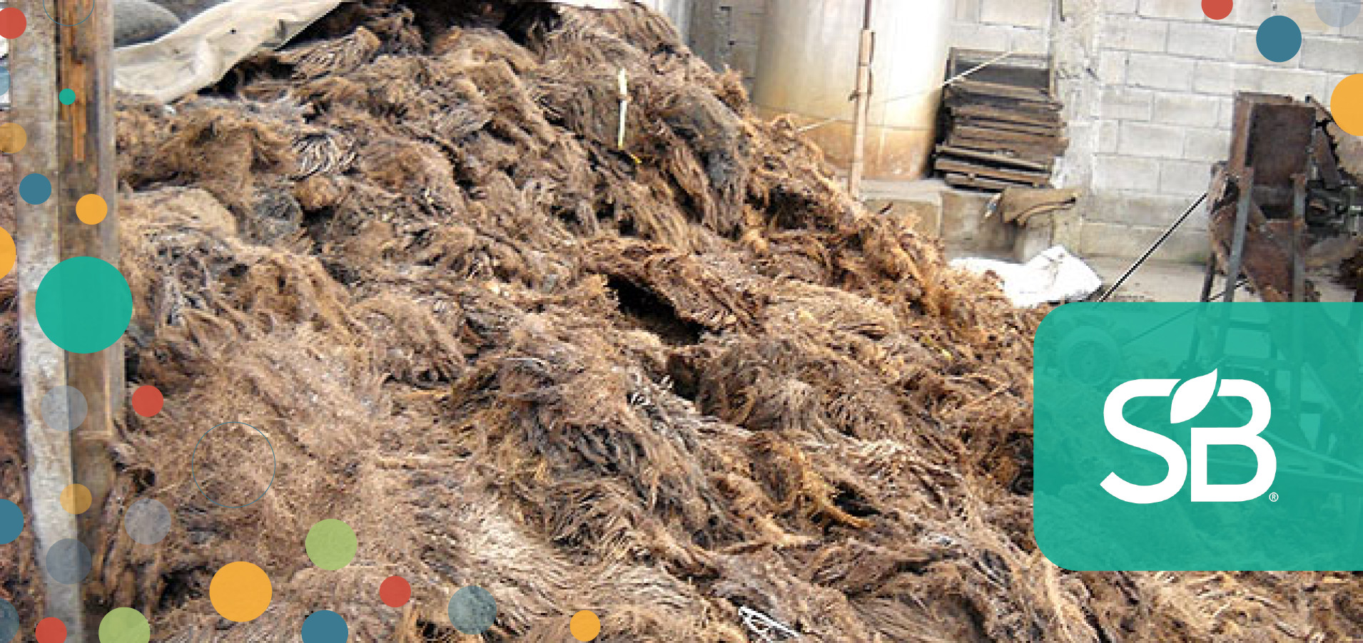 Thai Pulp Company Creating High-Quality Paper from Palm Oil Waste