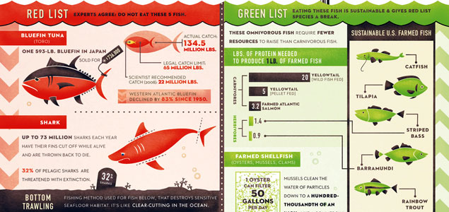 Sustainable Seafood: One Fish, Two Fish, Red Fish, Green Fish