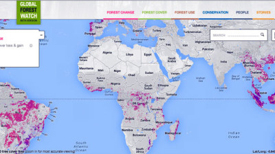 Companies Can Now Fight Deforestation Through Crowdsourced Online Forest Monitoring