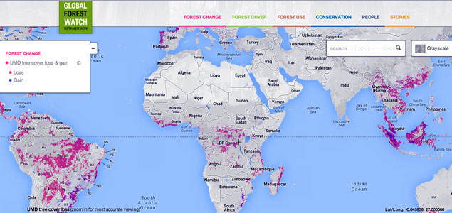 Companies Can Now Fight Deforestation Through Crowdsourced Online Forest Monitoring