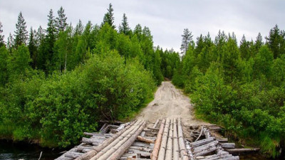 FSC Suspends IKEA's Certification After Discovering Use of Old-Growth Forests in Russia