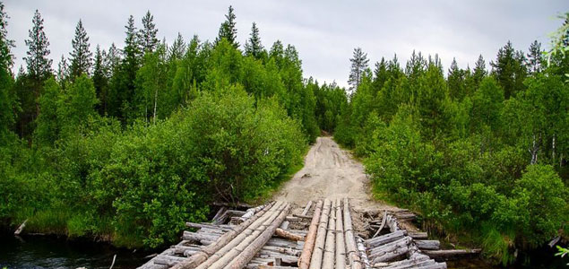 FSC Suspends IKEA's Certification After Discovering Use of Old-Growth Forests in Russia